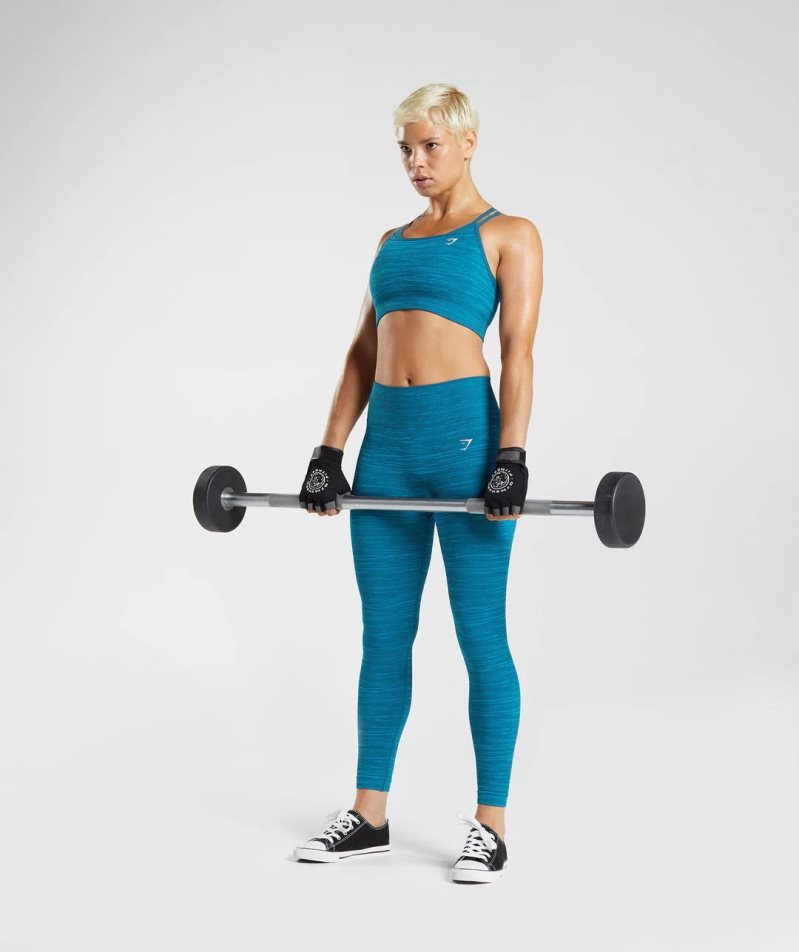 Women's Gymshark Adapt Marl Seamless Leggings Blue | NZ 5URKMC